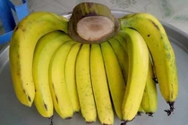 Cách phân biệt hoa quả ngậm hóa chất tránh mua nhầm dịp Tết 