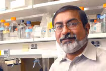 Tìm ra cách ức chế khối u não ác tính 