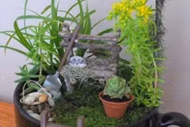 Ý tưởng làm vườn hoa mini trang trí nhà đẹp