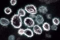 Thêm 31.787 ca mắc Covid-19, Hà Nội có 3.972 F0