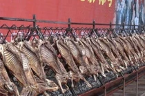 Ấn tượng cảnh nướng cùng lúc 200 con cừu