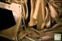 Những bước cho ra đời da thú siêu hoàn hảo