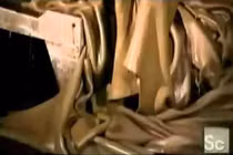 Những bước cho ra đời da thú siêu hoàn hảo