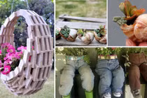 Những ý tưởng trang trí vườn khó tưởng