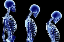 Những sự thật kỳ thú về cơ thể con người