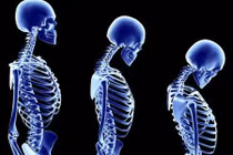 Những sự thật kỳ thú về cơ thể con người