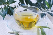 Lợi ích đáng kinh ngạc khi uống trà lá ô liu ít ai biết