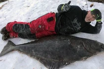 Anh: Câu được cá bơn khổng lồ dài 2 mét, giá 130 triệu đồng