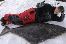 Anh: Câu được cá bơn khổng lồ dài 2 mét, giá 130 triệu đồng