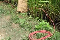 Phát hiện bẫy điện chết người, ném xác xuống sông phi tang