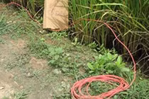 Phát hiện bẫy điện chết người, ném xác xuống sông phi tang