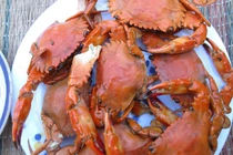 Khám phá đặc sản ngon “quên lối về” ở đảo Cù Lao Xanh