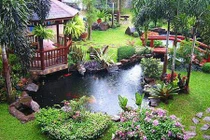 Thiết kế tiểu cảnh nước sân vườn xua tan nắng nóng