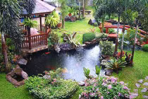 Thiết kế tiểu cảnh nước sân vườn xua tan nắng nóng