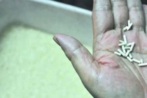 Choáng váng phát hiện gạo giả Trung Quốc làm bằng giấy