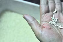 Choáng váng phát hiện gạo giả Trung Quốc làm bằng giấy