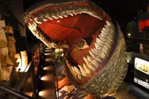 Hình ảnh rợn người trong ngôi nhà đá kỳ lạ ở Mỹ