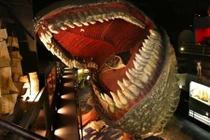 Hình ảnh rợn người trong ngôi nhà đá kỳ lạ ở Mỹ