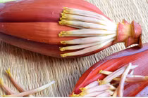 Hoa chuối – món ăn dân dã nhiều lợi ích sức khỏe