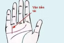 Xem chỉ tay biết người có tướng làm quan, cả đời hưởng lộc 
