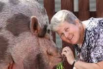 Quý bà bị lừa vì con lợn “siêu nhỏ” nặng... 127 kg