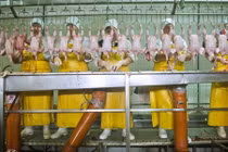 Kinh hoàng công nhân bị ép điên cuồng, đóng bỉm khi làm việc