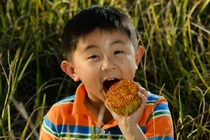 6 điều cần tránh khi ăn bánh trung thu để khỏi rước bệnh