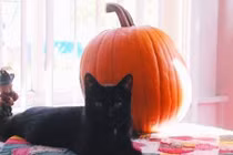 7 điều kiêng kỵ cần phải tránh trong ngày Halloween