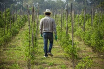 Lạ lùng tình cảm anh rể với em vợ mà cứ mong mong, nhớ nhớ 