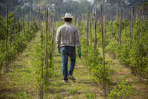 Lạ lùng tình cảm anh rể với em vợ mà cứ mong mong, nhớ nhớ 