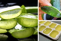 Cách dùng nha đam để trị các vấn đề về da