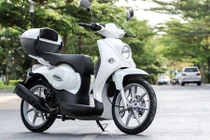 Xe tay ga giá rẻ, không cần bằng lái cho sinh viên