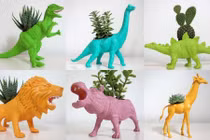 Những chậu hoa trang trí nhà hình thù kỳ dị