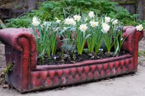 Tuyệt chiêu biến đồ cũ thành khu vườn cổ tích