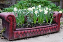 Tuyệt chiêu biến đồ cũ thành khu vườn cổ tích