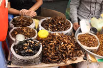 Những khu chợ côn trùng nổi tiếng rùng rợn