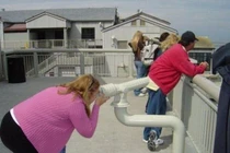 Giật mình với hình ảnh khiến người khác nhìn nhầm