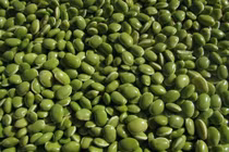 Những lợi ích không ngờ của đậu Hà Lan