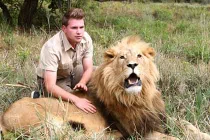 Kỳ lạ chàng trai có sở thích... massage cho sư tử