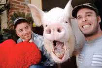 Chú lợn nặng 300kg nổi tiếng nhất thế giới sống cùng nhà với chủ nhân
