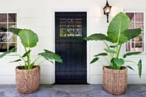 Những cách trang trí hiên nhà ấn tượng bằng cây cối hoa cỏ