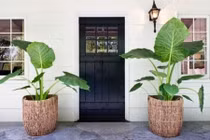 Những cách trang trí hiên nhà ấn tượng bằng cây cối hoa cỏ