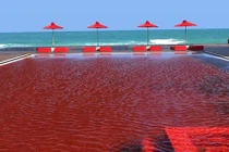 Hình ảnh những bể bơi tuyệt đỉnh nhất thế giới