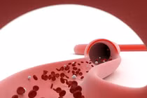 Bạn sẽ gặp vấn đề sức khỏe nghiêm trọng nào khi thiếu vitamin K?