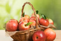 Thực phẩm chống dị ứng hiệu quả