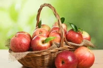 Thực phẩm chống dị ứng hiệu quả