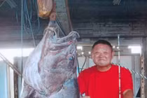 Những thủy quái khủng bị con người chinh phục (7)