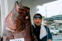 Những thủy quái khủng bị con người chinh phục (8)