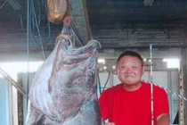 Những thủy quái khủng bị con người chinh phục (7)