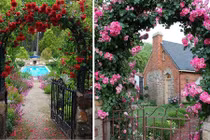 Gợi ý trang trí nhà đẹp với giàn hoa leo 